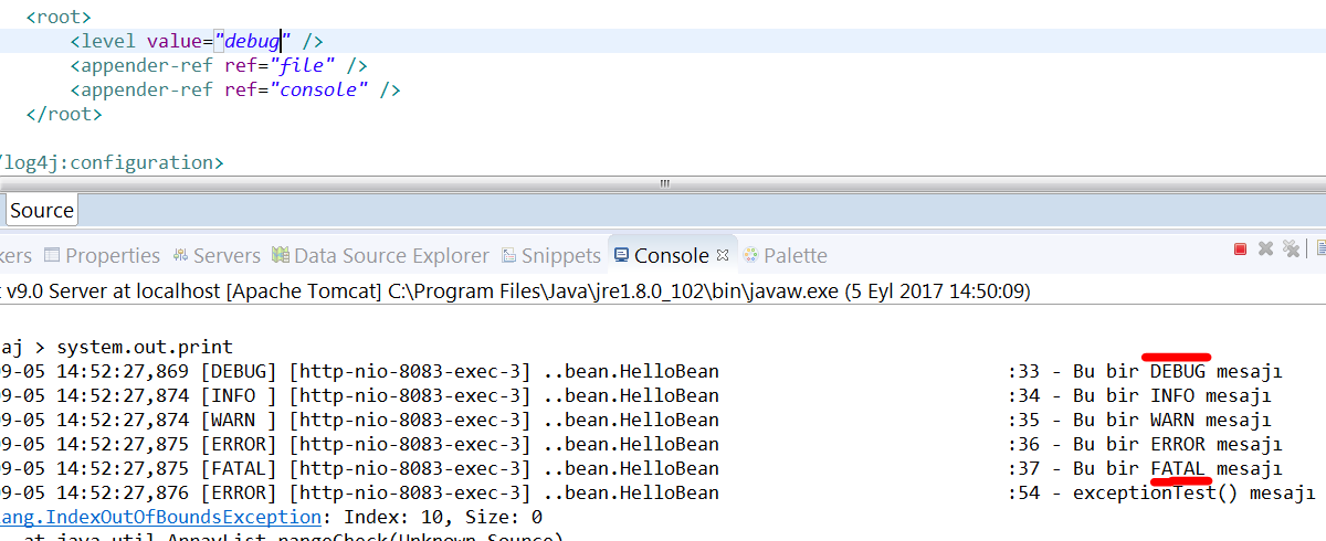 Log Seviyesi : Debug durumunda konsol çıktısı